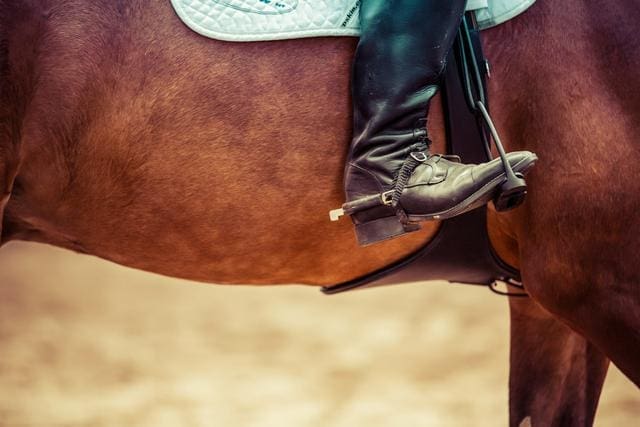 Close-up of a horse rider’s boot in a stirrup, against a brown horse's side, with a white saddle pad visible.