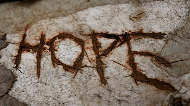 The word "hope" is carved into a piece of wood.