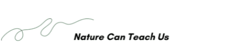 Stylized text with a squiggly line above reads "Nature Can Teach Us" in black font.