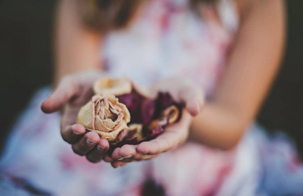 A person holds dried rose petals in their cupped hands, wearing a floral dress.