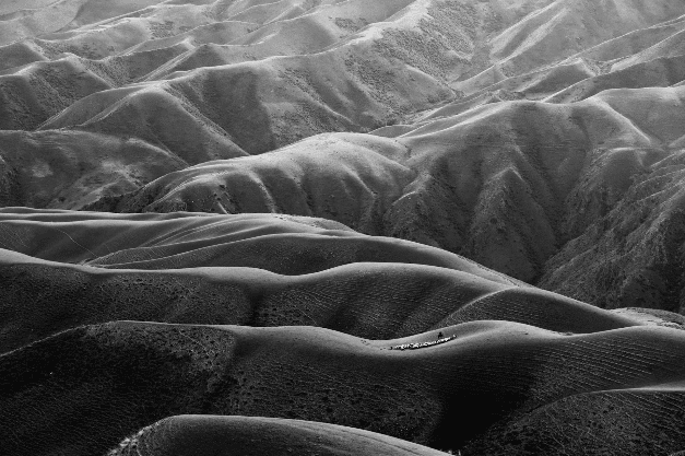 Black and white photo of undulating hills with a small herd of animals visible on one hill.