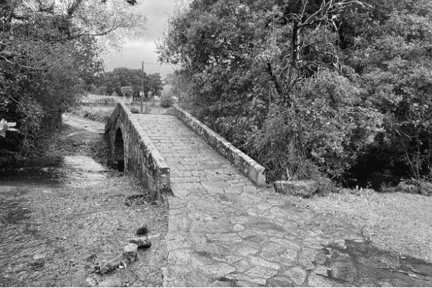 A stone bridge crosses a small creek surrounded by dense trees, under an overcast sky.