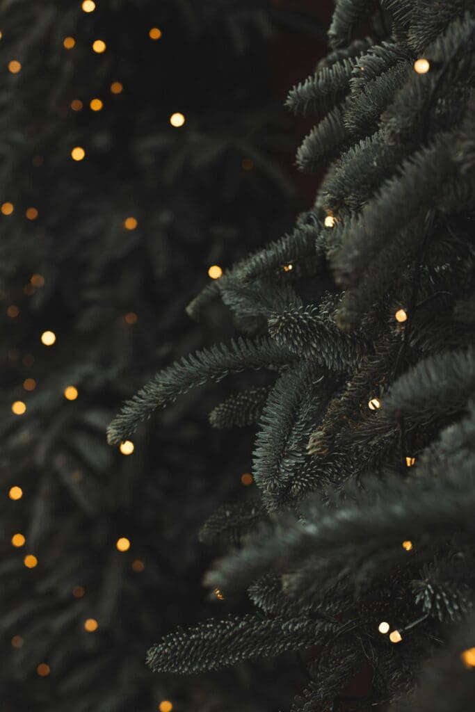 Close-up of green pine branches decorated with small, warm white string lights, creating a festive and cozy atmosphere.